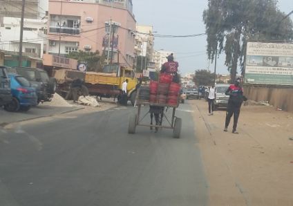 Article : Au Sénégal, les charrettes sont de véritables véhicules utilitaires