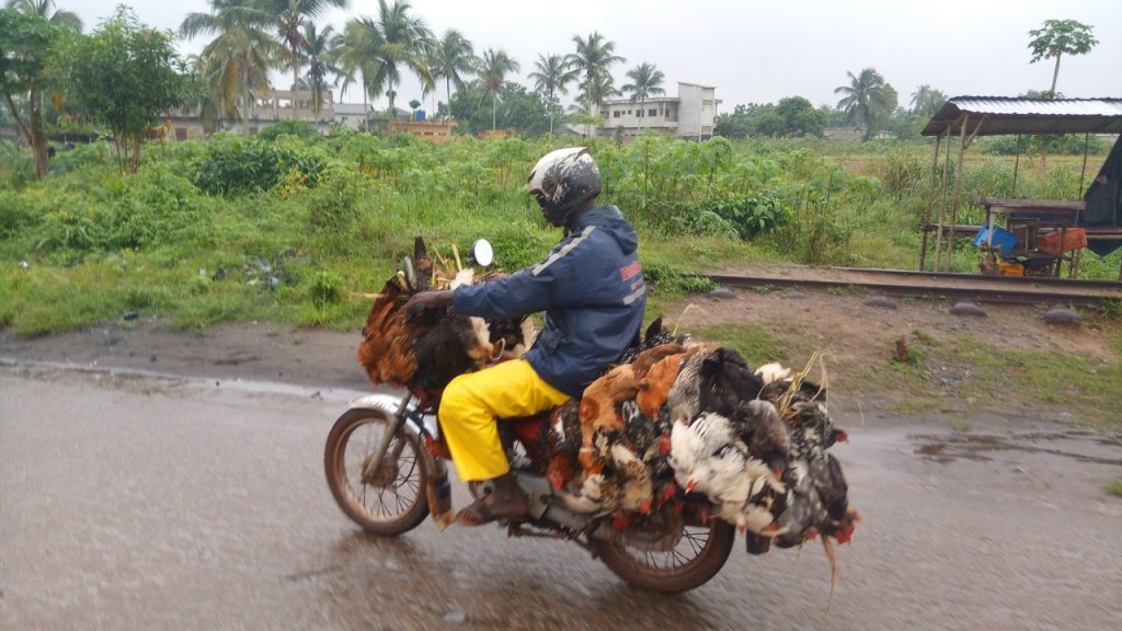 Article : B&eacute;nin : quelques couleurs de la langue fran&ccedil;aise
