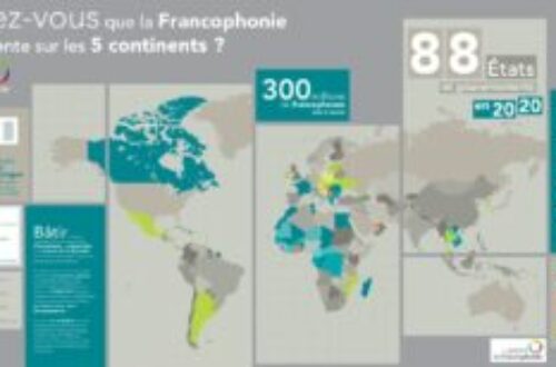 Article : 20 mars – Journée internationale de la francophonie : 12 expressions françaises du Togo