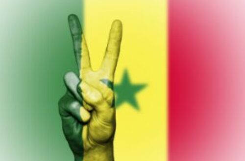 Article : Sénégal – Politique : l’indispensable wolof