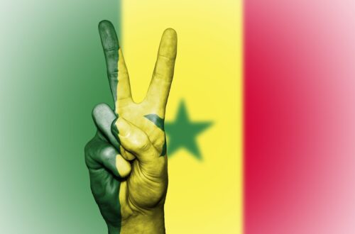 Article : Sénégal – Politique : l’indispensable wolof