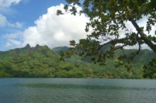 Article : Hinano, la plus belle des Polynésiennes